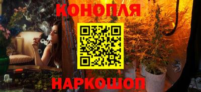 СК Будённовск