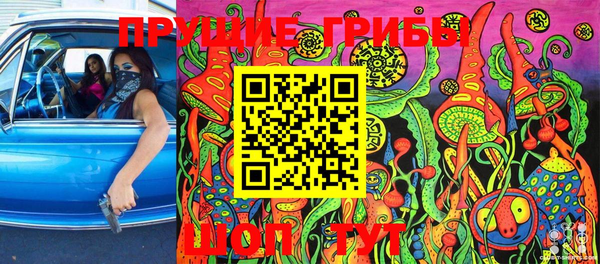 Галлюциногенные грибы Cubensis Надым